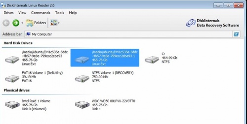 Diskint sel disk.jpg