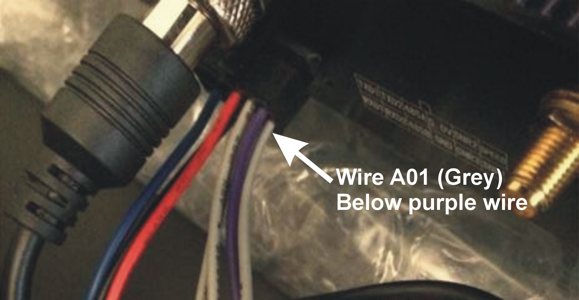 Alarm Wires.jpg