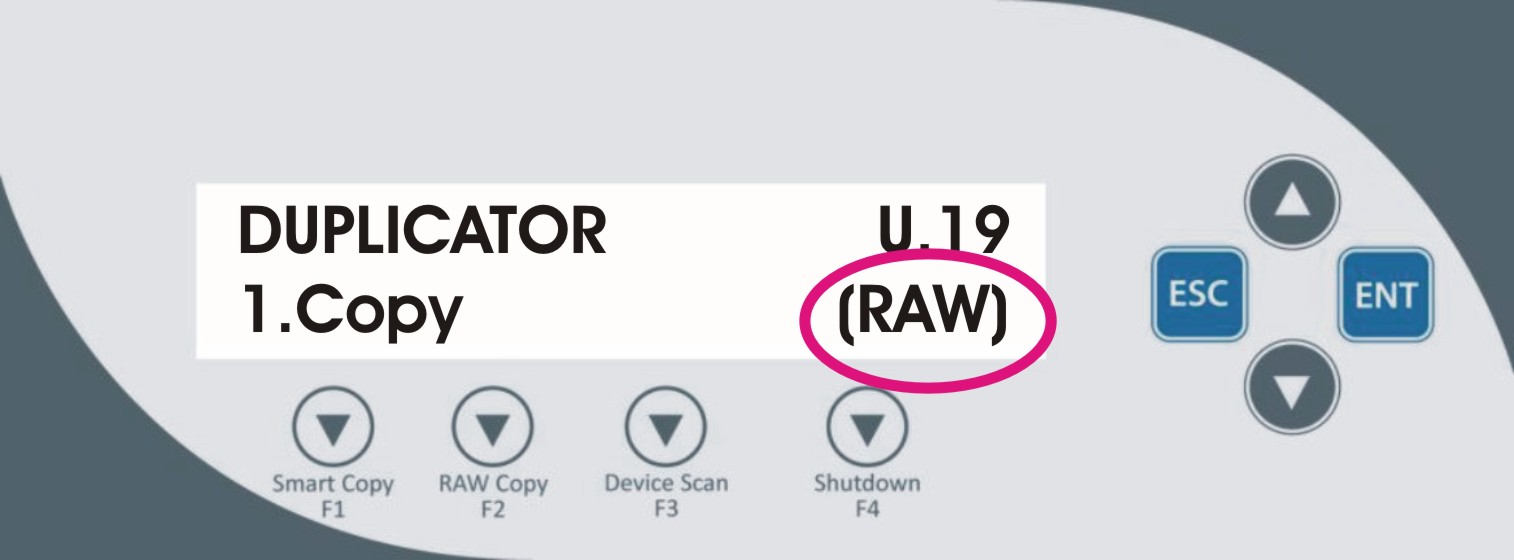 RAW Display.jpg