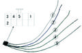 Thumbnail for version as of 12:35, 10 January 2013